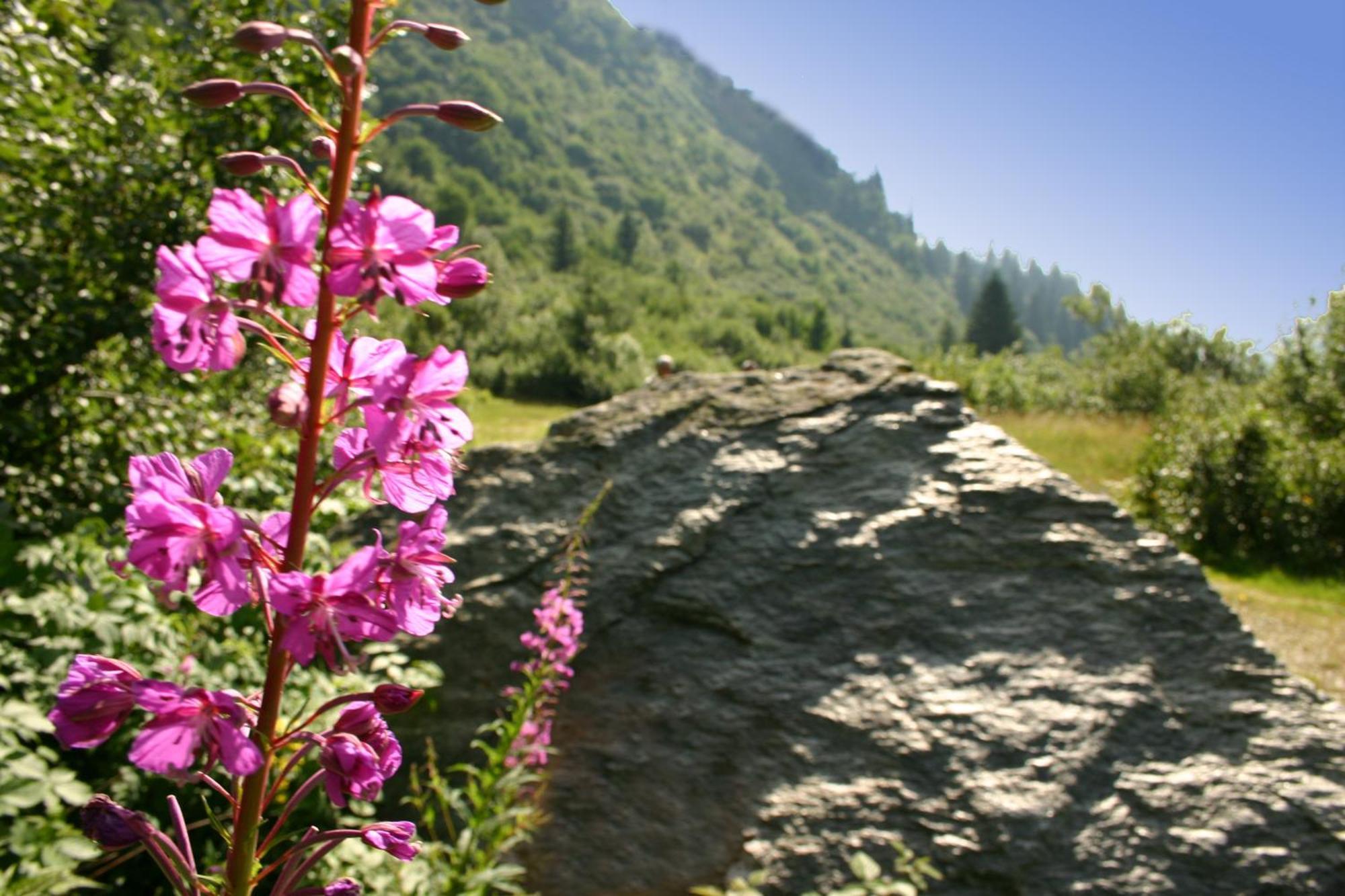 Villa House Hannes Schneider Stuben Stuben am Arlberg Exterior foto